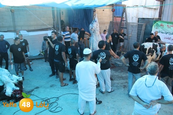 ada7y 116 n1 (48).JPG